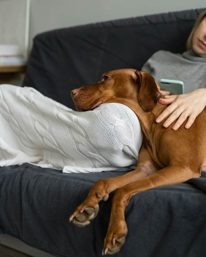 Bipolar disorder and depression: sad woman sit with dogs cancel meetings in smartphone feel unwell